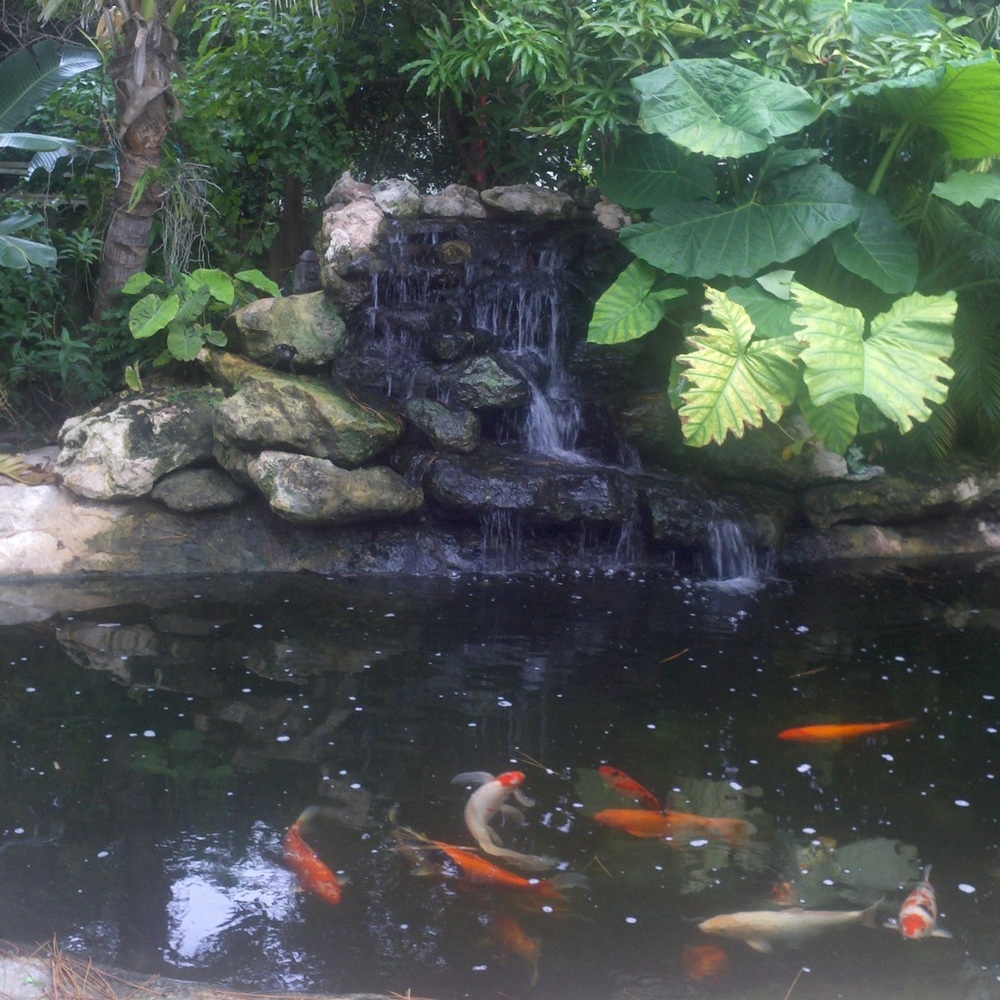 Meet your Posher, Barbara